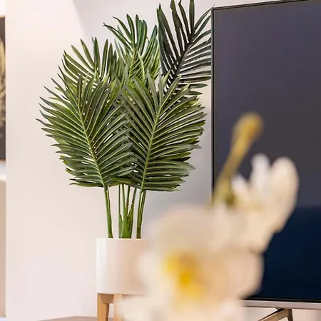 Neuf - Proche Et Centre-ville - Ac