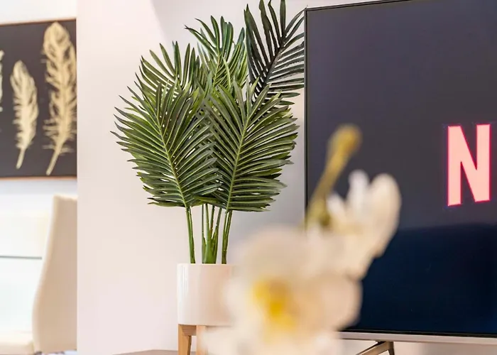 Neuf - Proche Et Centre-ville - Ac